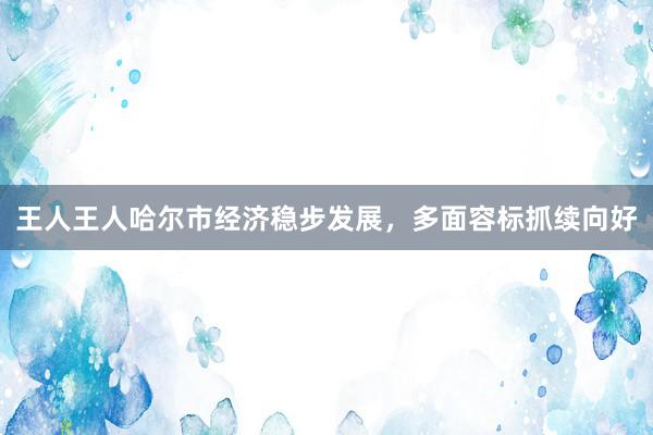 王人王人哈尔市经济稳步发展，多面容标抓续向好